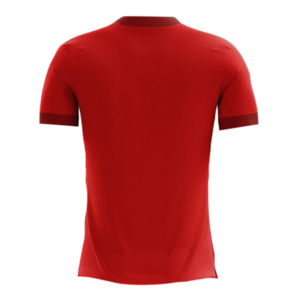 2023-2024 Egypt Home Concept Football Shirt_1