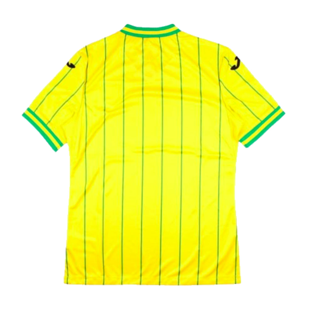 Norwich 2022-2023 Home Shirt - Sponsorless (XXL) (Mint)_1