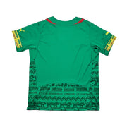 Camiseta Local Camerún 2014/16 (L) Puma