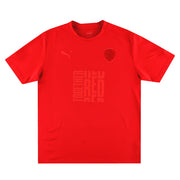 Camiseta Barnsley Puma Redout 2022-23 Talla L