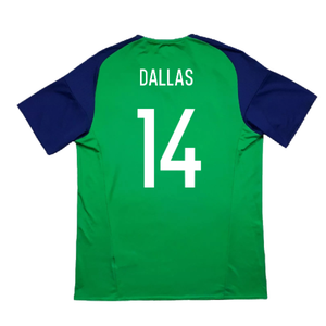 Northern Ireland 2016-17 Home Shirt (S) (Excellent) (Dallas 14)_1