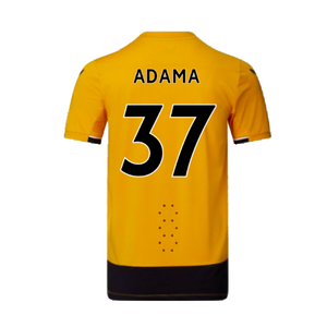 Wolves 2022-23 Pro Home Shirt (Sponsorless) (XL) (Mint) (ADAMA 37)_1