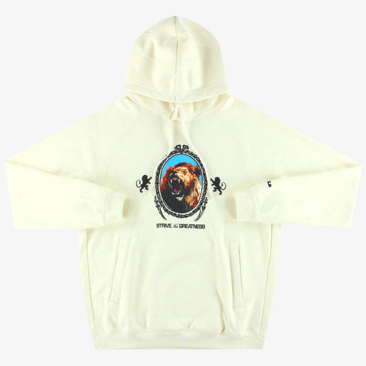 Nike Lebron ‘Strive For Greatness’ Pullover Hoodie *w/tags* XL