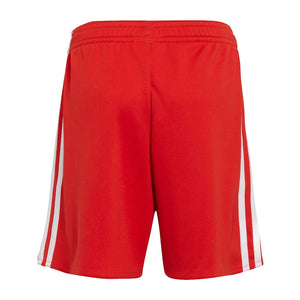 2022-2023 Bayern Munich Home Shorts (Red) - Kids_1