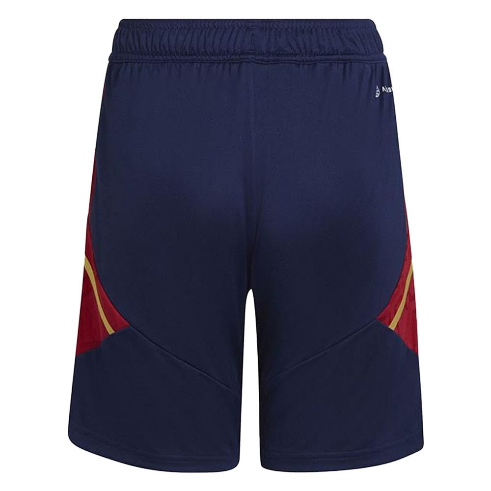 2022-2023 Ajax Training Shorts (Navy)_1