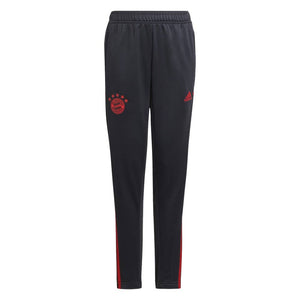 2022-2023 Bayern Munich Training Pants (Night Grey) - Kids_0