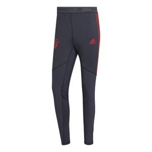 2022-2023 Bayern Munich Pro Pants (Night Grey)_0