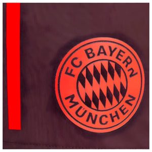 2024-2025 Bayern Munich Training Shorts (Shadow Maroon)_1