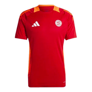 2024-2025 Bayern Munich Training Shirt (Red)_0