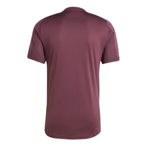 2024-2025 Bayern Munich Training Shirt (Shadow Maroon)_1