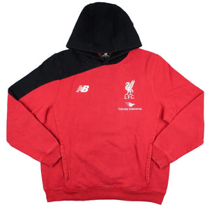 Liverpool 2015-16 Hoodie (L) (Very Good)_0