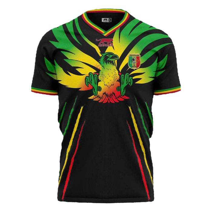 Mali 2023-24 Third Shirt (L) (Excellent)