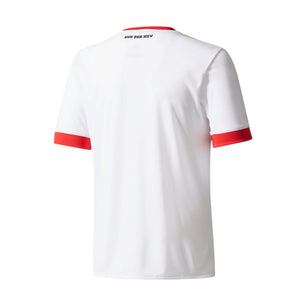 Hamburg 2017-18 Home Shirt (L) (Fair)_1