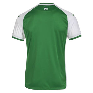 Hibs 2022-23 Home Shirt ((Mint) L)_1