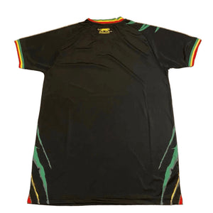 Mali 2023-24 Third Shirt (L) (Excellent)_1