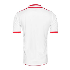 Tunisia 2018 Home Shirt ((Excellent) M)_1