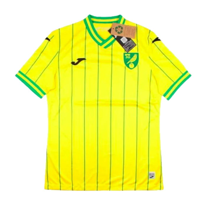 Norwich 2022-2023 Home Shirt - Sponsorless (XXL) (Mint)